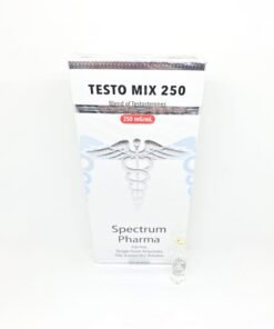 Testo Mix 250